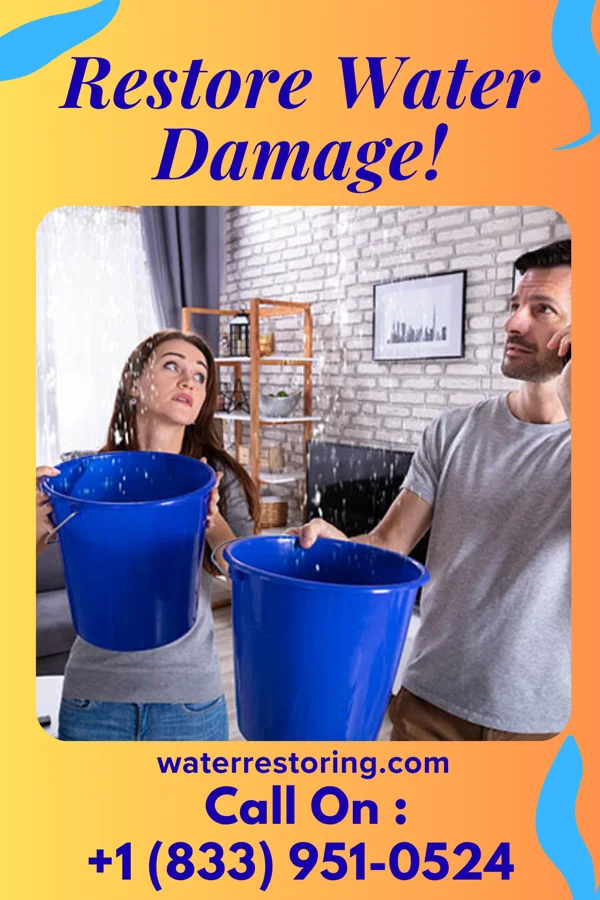 water restoration North Water Mitigation Authority Greenville