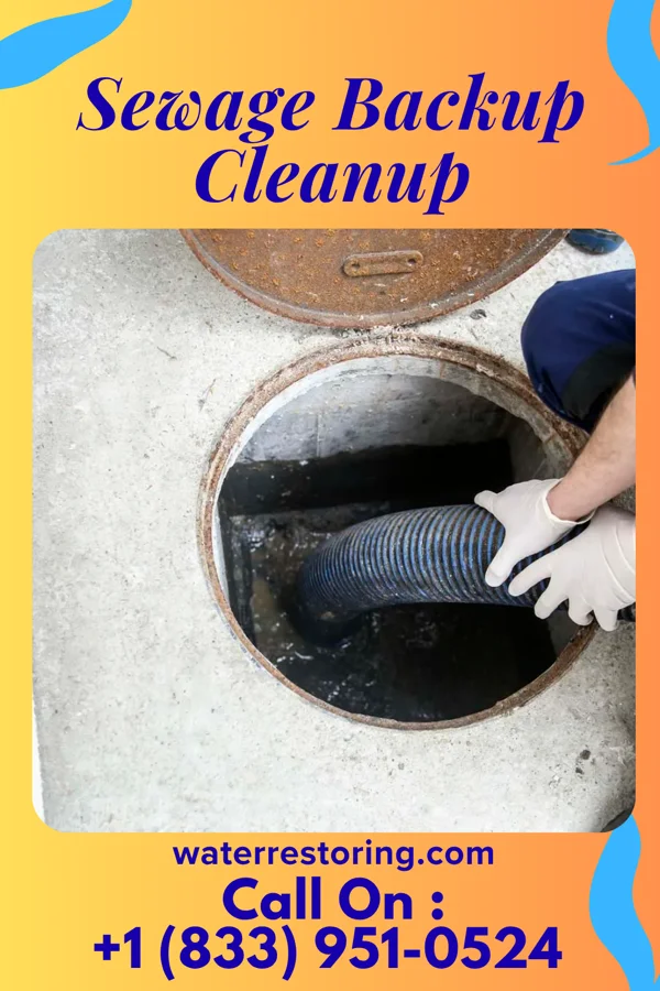 Sewage Backup Cleanup in Greenville, PA