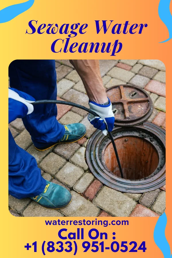 Sewage Water Cleanup in Greenville, PA